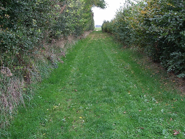 futur trail 031.jpg